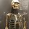 Old Human Skeleton