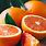 Orange Fruit Photography