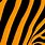 Orange Tiger Stripes