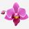 Orchid Emoji