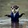 Otter Dressed Up