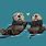 Otters Holding Hands Art