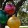 Outdoor Christmas Tree Ornaments