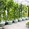 Outdoor Hydroponic Systems