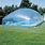Outdoor Pool Dome