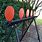 Outdoor Shooting Targets