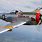 P-47 Thunderbolt Plane