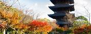 Pagoda of Toji Kyoto