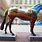 Painted Horse Statues