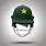 Pakistan Cricket Helmet