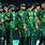 Pakistan Cricket Team Picture