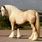 Palomino Shire Horse
