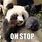Panda Funny Animal Memes