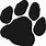 Panther Paw Image