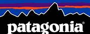 Patagonia Clothing Logo in Star Wars