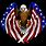 Patriotic Eagle American Flag