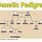 Pedigree with Genotypes