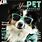 Pet Magazine Covers