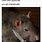 Pet Rat Memes