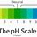 Ph Scale with Acids and Bases