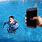 Phone in Pool