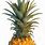 Pic of Pineapple
