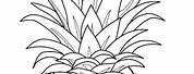 Pineapple Coloring Pages for Adults