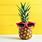 Pineapple Desktop Wallpaper Cool