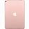 Pink Apple iPad Pro