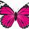 Pink Butterfly Cartoon