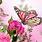 Pink Flower Butterfly iPhone Wallpaper