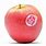 Pink Lady Apple Sticker
