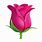 Pink Rose Emoji
