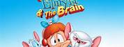 Pinky Elmyra and the Brain