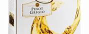 Pinot Grigio Box Wine