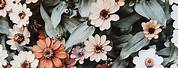 Pinterest Flower Wallpaper