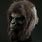 Planet of the Apes Mask