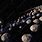 Planets with Asteroid Belt