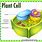Plant Cell Chart