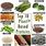 Plant Sources of Protein