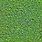 Plant Wall Seamless Texture
