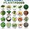 Plant-Based Foods High in Calcium