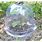 Plastic Domes for Plants