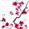 Plum Blossom Watercolor