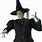 Plus Size Wicked Witch Costume