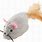 Plush Mouse Cat Toy