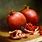 Pomegranate Painting
