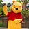 Pooh Bear Disneyland