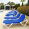 Pool Loungers Chairs