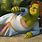 Princess Fiona Shrek Meme